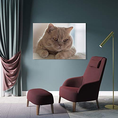 GUKEY Póster decorativo de pared, diseño de gatos y animales con orejas de gato, 20 x 30 cm