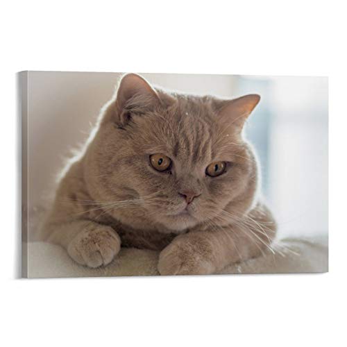 GUKEY Póster decorativo de pared, diseño de gatos y animales con orejas de gato, 20 x 30 cm