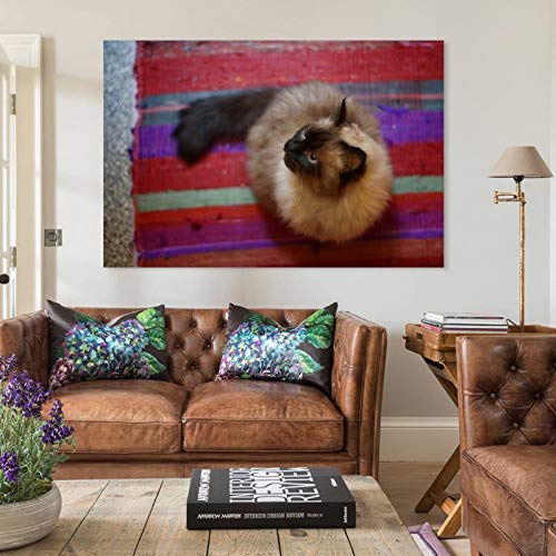 GUKEY Póster decorativo para pared, diseño de gatos siameses y mascotas, 40 x 60 cm