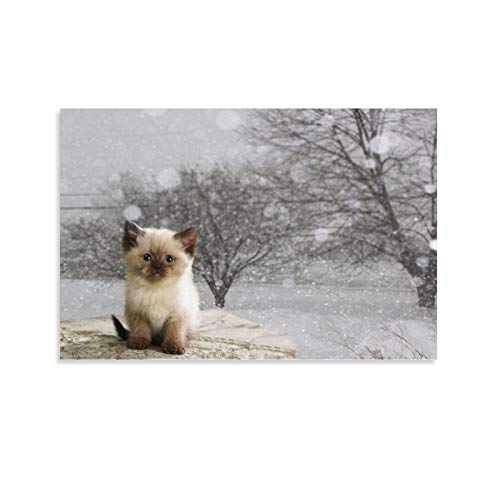 GUKEY Póster decorativo para pared, diseño de gatos y gatos siameses