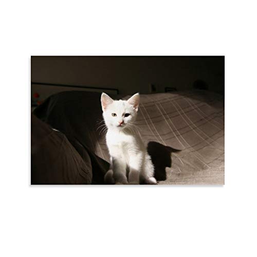 GUKEY Póster, lienzo con diseño de gatitos, gatos y animales con orejas de gato, 50 x 75 cm