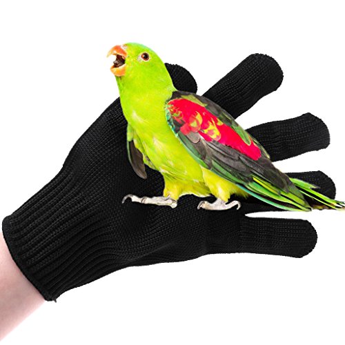 HAINAN - Guantes antimordedura para pájaros (antimordedura, hámster para masticar, trabajo de seguridad, para hámster enano, gerbil, ardilla, ratón, pájaro, loro