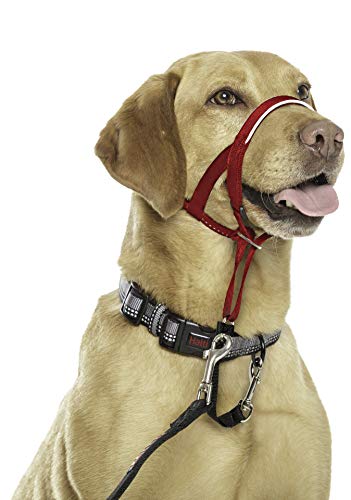 HALTI Headcollar
