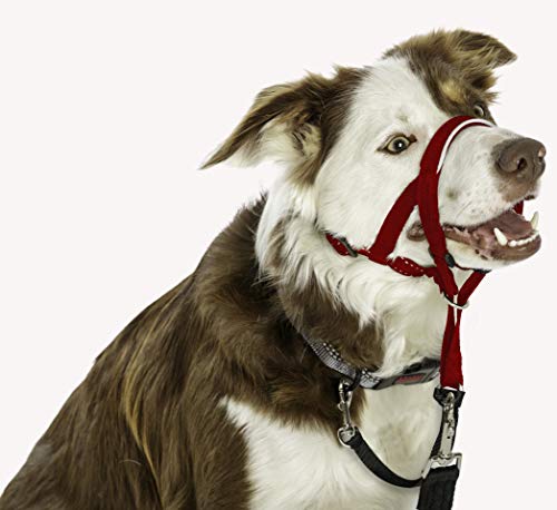 HALTI Headcollar