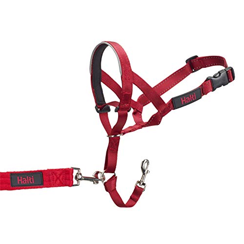 HALTI Headcollar