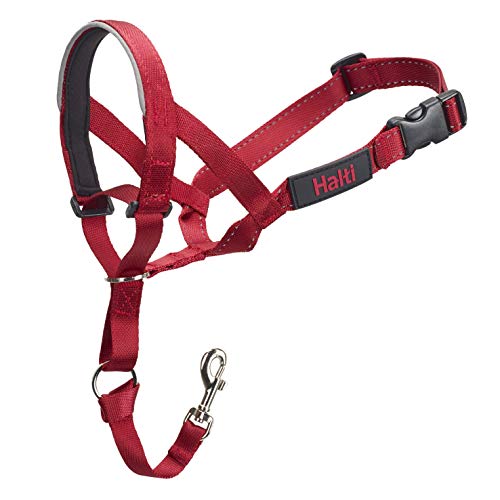 HALTI Headcollar