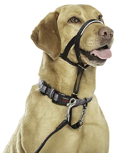 Halti HH032 Headcollar, Negro