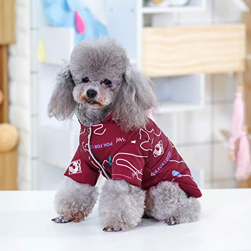 Handfly Chaqueta de Perro Impermeable, Abrigo de Invierno de Cachorro, Abrigo de Chaqueta de Perro, Ropa de Abrigo Abrigada para Perros pequeños, Gatos, Mascotas como Ropa Chihuahua
