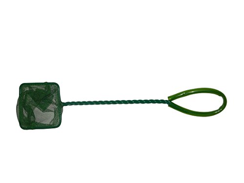 Haquoss, Evolution 40 - Acuario de 40 x 25 x 34 cm, 21 litros, con luz LED de 4 W, versión Luxury, Totalmente Equipado