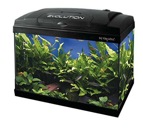 Haquoss, Evolution 40 - Acuario de 40 x 25 x 34 cm, 21 litros, con luz LED de 4 W, versión Luxury, Totalmente Equipado
