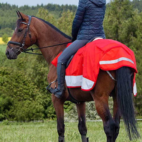 Harrison Howard Alpine - Alfombra de ejercicio impermeable para competición de caballos de alta visibilidad reflectante de seguridad nocturna con solapa de cola, color rojo escarlata