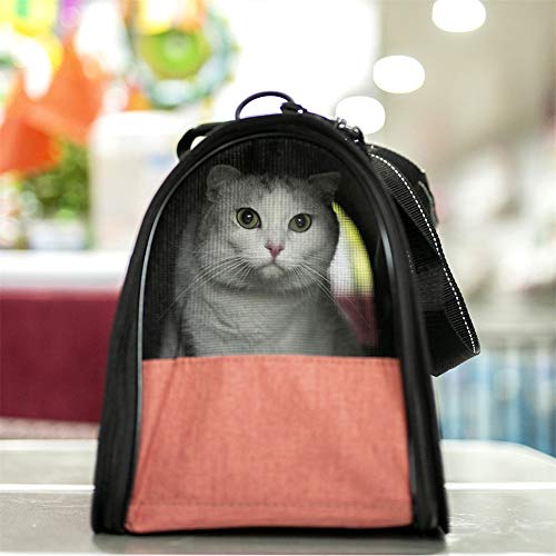 HEELPPO Transportin Perro Pequeño Transportin para Gatos Transportin Gatos Transportin Gato Transportin Perro Mediano Trasportines Perro Mochila Gato Mochilas para Gatos Orange
