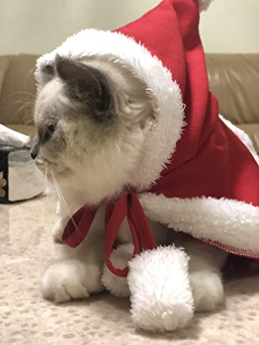 Hengu Capa Ropa de Navidad para Perros Gatos, Papa Noel Disfraces Disfraz Sudadera Capucha Chaqueta Camisas Poncho Lindas de Navidad para Cachorro Perro Mascota Pequeño