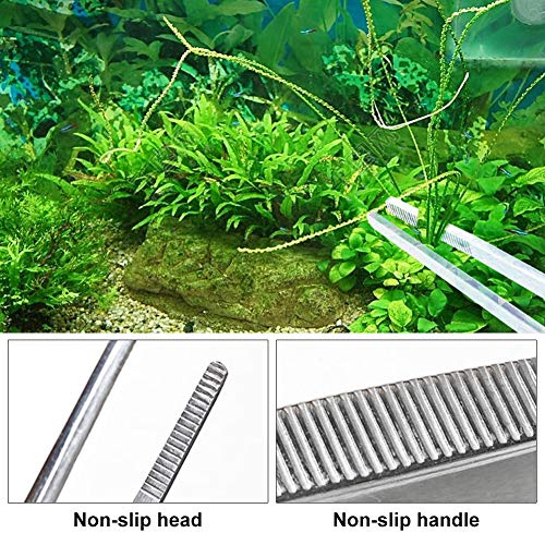 Herramientas de acuario,Planta acuática Tijera,Acuario Herramienta Accesorios,Aquarium Tool Accesorios acero inoxidable Acuario tanque planta de agua Alicates Tijeras Herramientas Set Kit-3PCS
