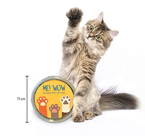 Hierba gatera (Catnip) para gatos. Lata XXL con 60 gramos