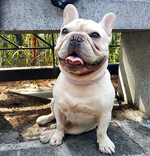 Hifrenchies Collares de piel de ante suave para perros franceses con diamantes de imitación de cristal, collar brillante para gatos, cachorros y otros perros pequeños y medianos (M,Rosa).