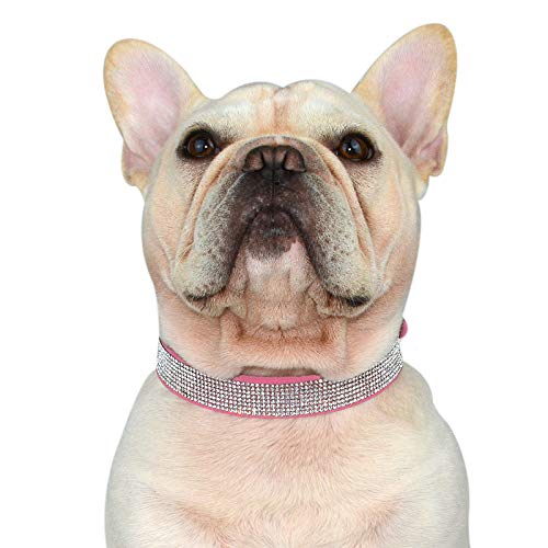 Hifrenchies Collares de piel de ante suave para perros franceses con diamantes de imitación de cristal, collar brillante para gatos, cachorros y otros perros pequeños y medianos (M,Rosa).