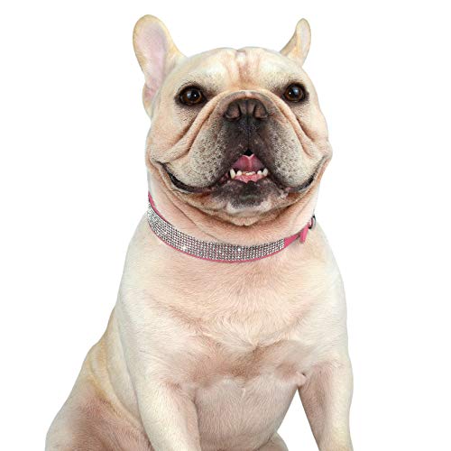 Hifrenchies Collares de piel de ante suave para perros franceses con diamantes de imitación de cristal, collar brillante para gatos, cachorros y otros perros pequeños y medianos (M,Rosa).