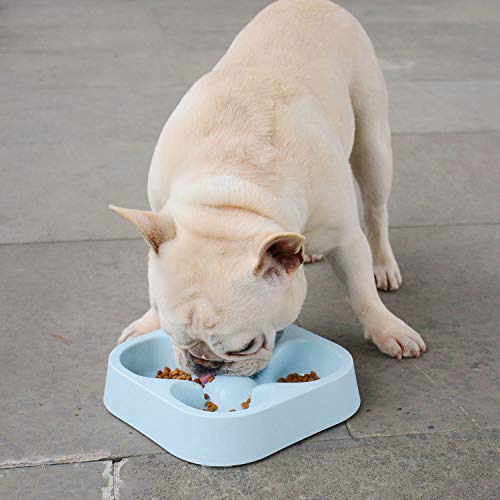 Hifrenchies - Comedero lento para perro Bulldog francés, comedero lento para gatos y perros, mascotas anti-asfixia, trébol de cuatro hojas o con diseño de rayas