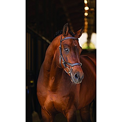Horseware Cabezada Rambo Micklem Multi Bridle in Size: Full. - Black - Full