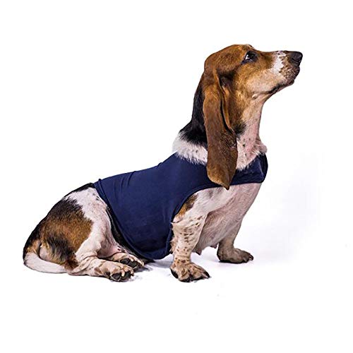 Huachaoxiang Tarea De Perro Chaleco Calmante, Destracción De La Tensión De La Camiseta De La Ansiedad del Perro para El Retiro De Los Perros Retiro del Perro Ropa De Mascota Calmante Emocional,Azul,L