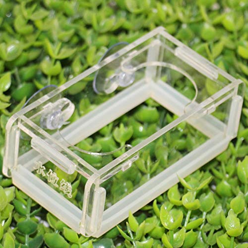 Huairdum Alimentador de Alimentos para Peces, alimentador de Peces de acrílico, Tira anticolisión Transparente con Ventosa para pecera