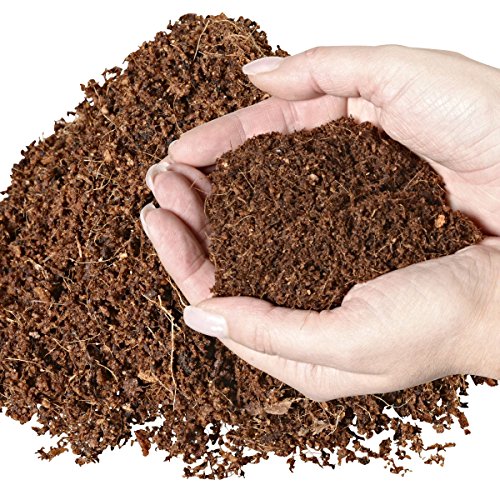 Humusziegel - 20 litros Natural terrario substrat múltiple en Bolsa de Seca – 100% Puro Coco Tierra como sustrato einstreu de Coco de Suelos