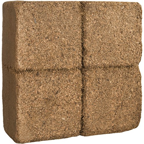 Humusziegel -70 L Bloque de Coco Basura para Reptiles, terrario sustrato terrario, Cama, Suelo, Suelo, Terreno, Humus de Coco ladrillo de Coco Fibra de Coco, Coco, de Coco Fibra de Coco briquetas