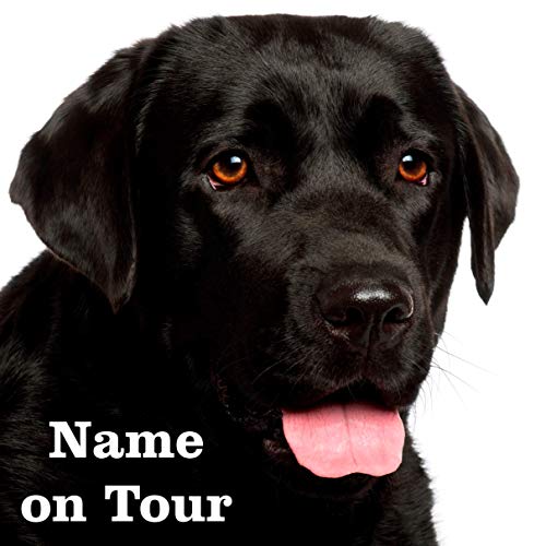 hundeauf adhesivo Labrador Negro 2
