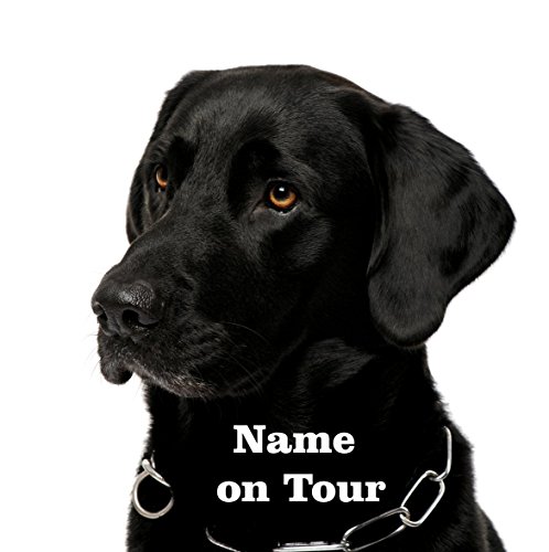 hundeauf adhesivo Labrador Negro