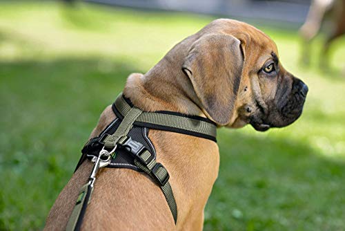 HUNTER - Arnés de Neopreno para Perros