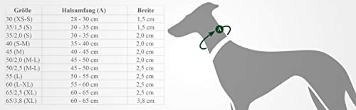 HUNTER - Collar de Nylon Modelo Neoprene Vario Plus para Perros (45/Verde/Negro)