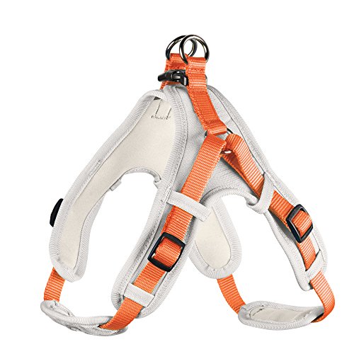 HUNTER Vario Quick - Arnés de Neopreno (pequeño, 45-55 cm, 15 mm), Color Naranja y Crema