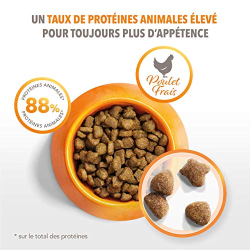 IAMS Alimentación de Mascotas - 1500 gr