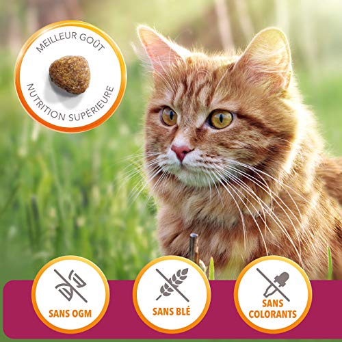 IAMS Alimentación de Mascotas - 1500 gr