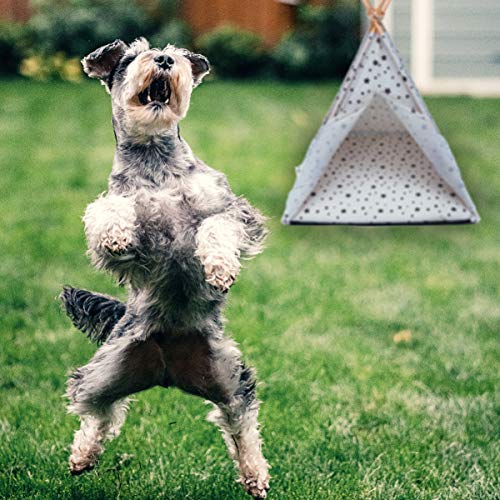 ibasenice Tienda de Campaña para Mascotas - Cama para Perros Y Gatos Tipi para Mascotas - Casa para Gatos de 43 X 43 X 53 Cm Tienda de Campaña para Gatos con Cojín Extraíble Y Lavable
