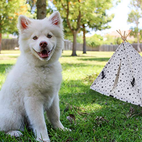 ibasenice Tienda de Campaña para Mascotas - Cama para Perros Y Gatos Tipi para Mascotas - Casa para Gatos de 43 X 43 X 53 Cm Tienda de Campaña para Gatos con Cojín Extraíble Y Lavable