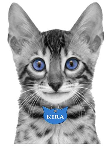 Iberiagifts - Placa en Forma de Cara de Gato para Gatos de Todas Las Edades Chapa Medalla de identificación Personalizada para Collar Perro Mascota grabada (Azul)