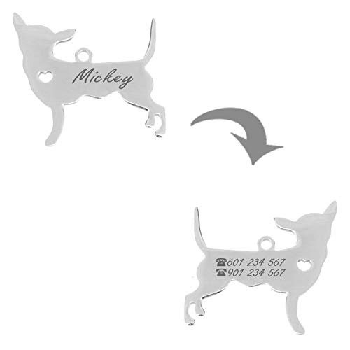 Iberiagifts - Placa identificación de Acero Inoxidable en Forma de Chihuahua. para Mascotas pequeñas a Medianas. Chapa Medalla de identificación Personalizada Collar Perro Gato grabada