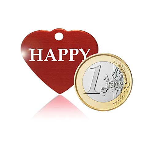 Iberiagifts - Placa identificación de en Forma de corazón. para Mascotas pequeñas a Medianas. Chapa Medalla de identificación Personalizada para Collar Perro Gato Mascota grabada