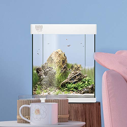 ICA KNA10 Kit Nano Aqualed Crystal 10, Crema