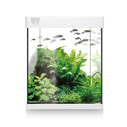 ICA KNA10 Kit Nano Aqualed Crystal 10, Crema