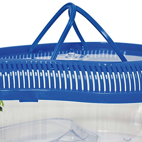 ICA TT351 Tortuguera sin Tapa Dophin