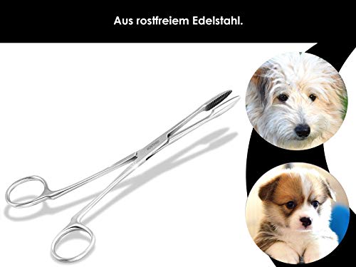 InstrumenteNrw Pinzas para el pelo para las orejas de perros, pinzas para eliminar el pelo de animales, de acero inoxidable, con dentado interior sin bloqueo, de calidad profesional (14 cm)