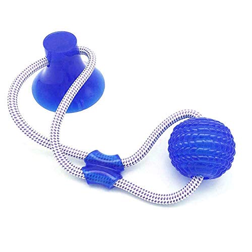 INTVN Juguetes para morder para Perros, Juguete Multifuncional para mordedura de Molar para Mascotas Juguete de Bola de Perro de Estilo de Ventosa Resistente a la masticación (Azul)