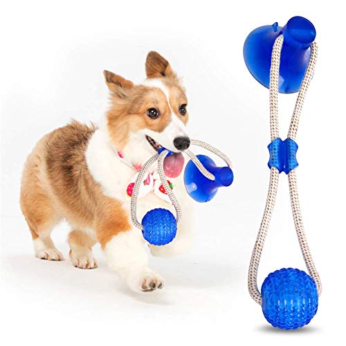 INTVN Juguetes para morder para Perros, Juguete Multifuncional para mordedura de Molar para Mascotas Juguete de Bola de Perro de Estilo de Ventosa Resistente a la masticación (Azul)