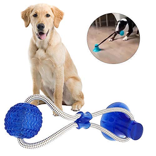 INTVN Juguetes para morder para Perros, Juguete Multifuncional para mordedura de Molar para Mascotas Juguete de Bola de Perro de Estilo de Ventosa Resistente a la masticación (Azul)