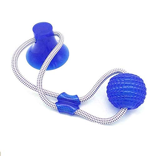 INTVN Juguetes para morder para Perros, Juguete Multifuncional para mordedura de Molar para Mascotas Juguete de Bola de Perro de Estilo de Ventosa Resistente a la masticación (Azul)