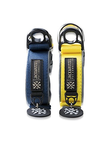 Jack & Russell Premium Collar de Perro Luna Reflectante y Neopreno Acolchado Collar de Perro Varios tamaños y Colores (Circunferencia del Cuello M (35-43 cm), Amarillo)