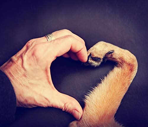 Jean K. - vet® Protección contra la humedad, la sal y la humedad, para perros y gatos, 100% natural, solo cera de abeja, manteca de karité, aceite de caléndula fabricado en Alemania